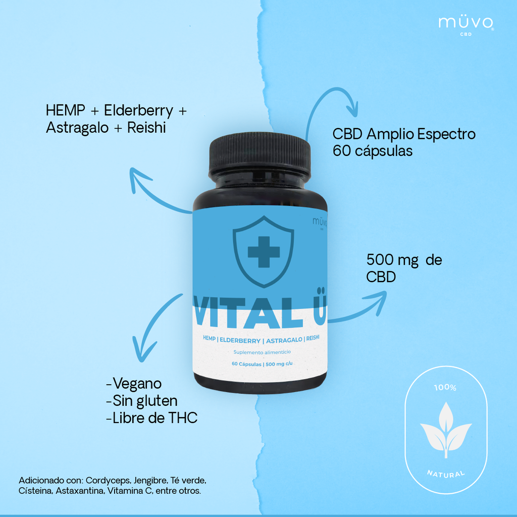 KIT CONTROL DE AZUCAR