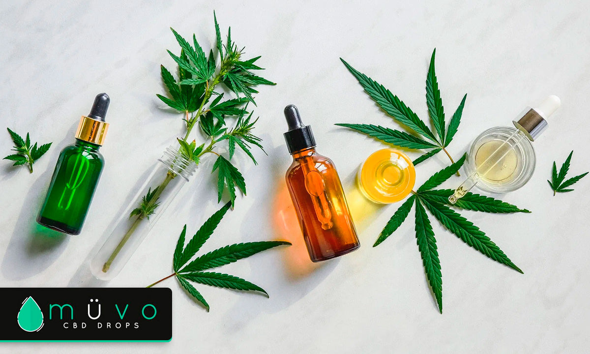 6 Mitos y Realidades sobre el CBD