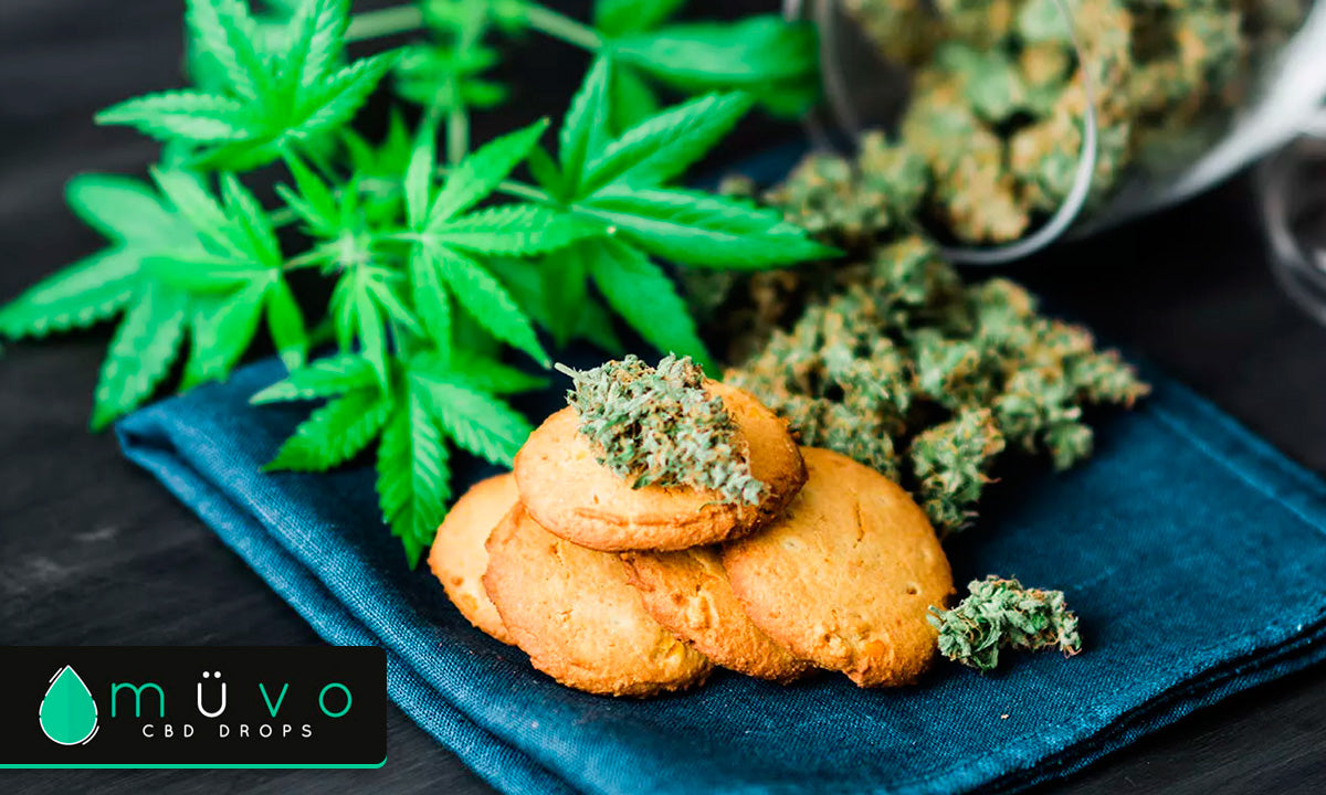 5 Deliciosas recetas con CBD que tienes que probar