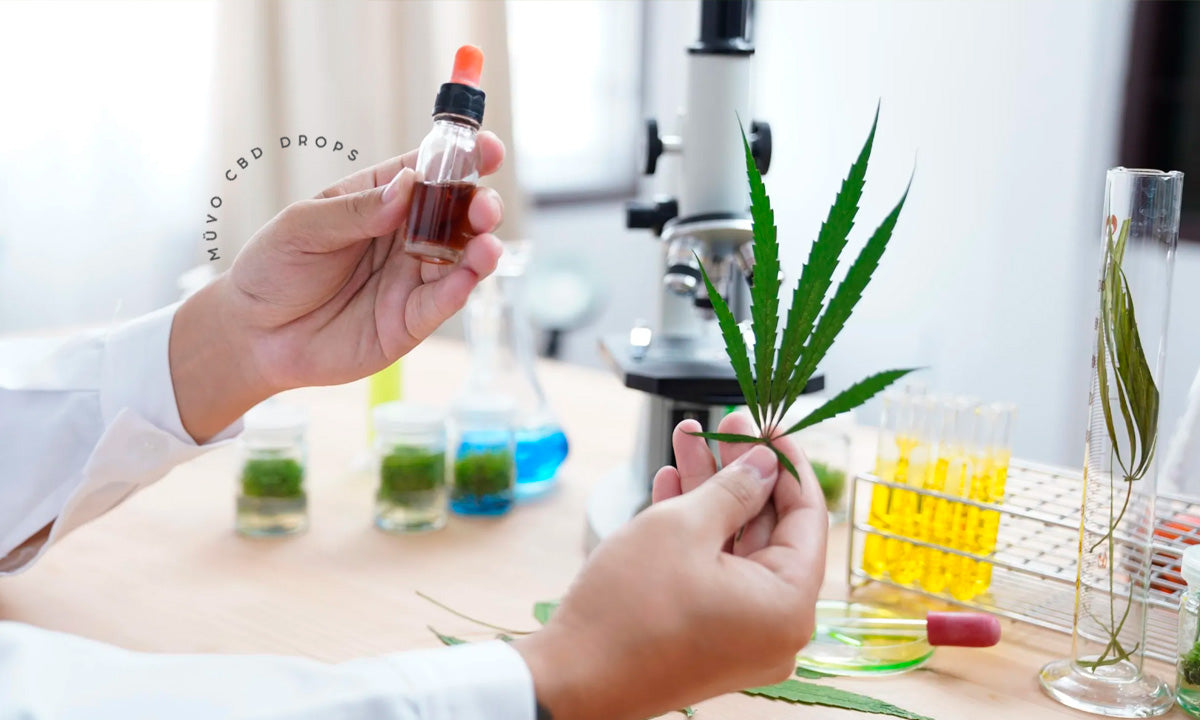 9 hechos del CBD Respaldados Por La Ciencia