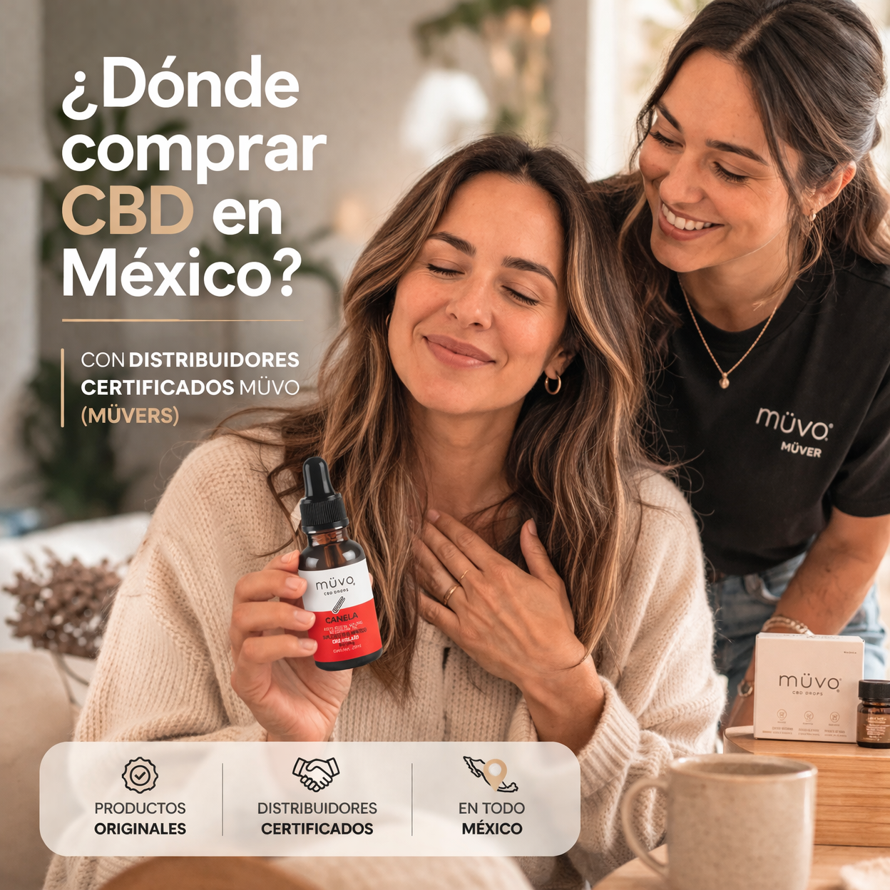 ¿Dónde Comprar CBD en México? Descubre Müvo y Otras Marcas Confiables