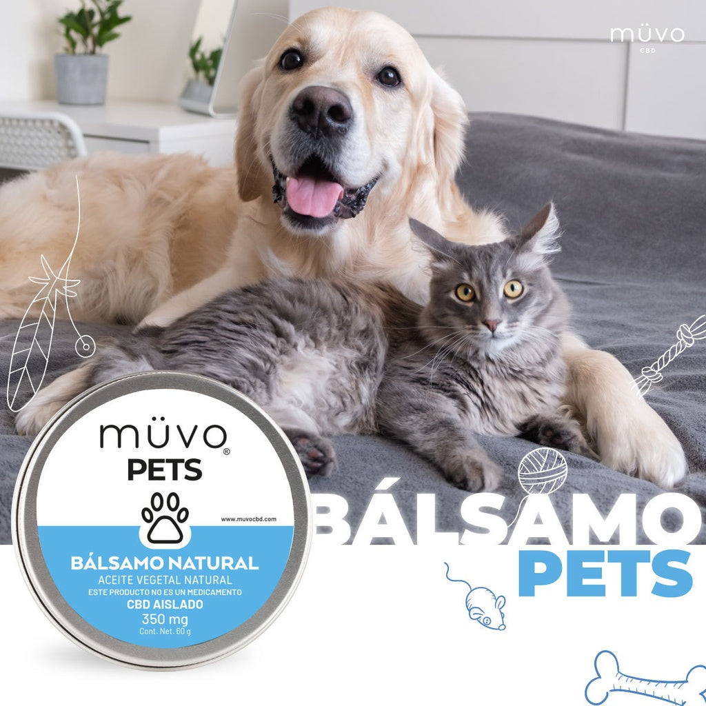 Ü BALSAMO PETS 60g